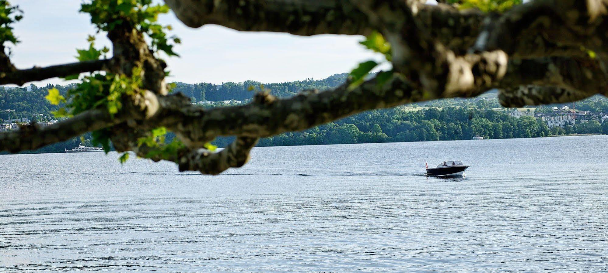 Hotel Hirschen Am See Meilen Eksteriør billede